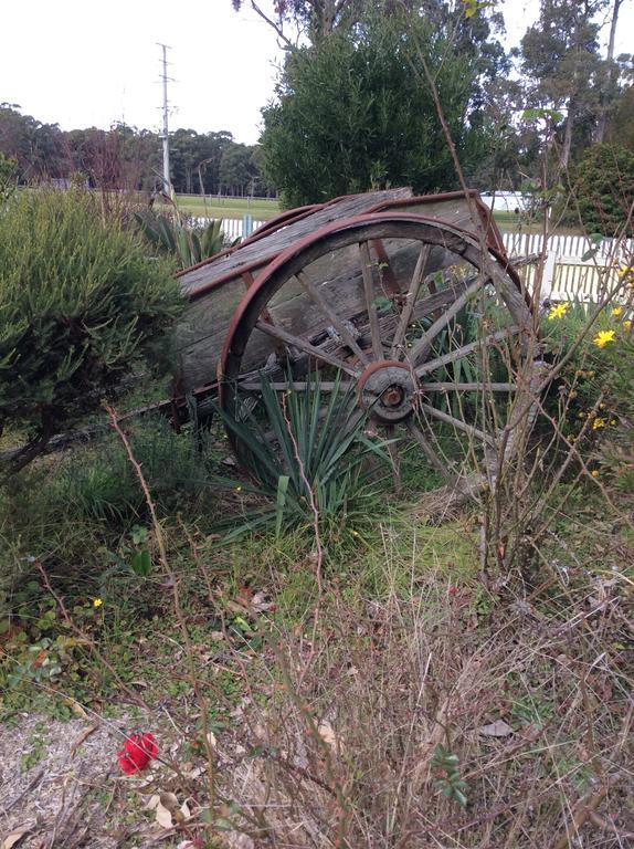 Snowy River Lodge Motel Orbost Exterior foto